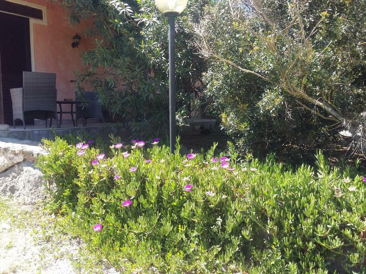 Agriturismo Pedru Caddu Tula Exterior photo